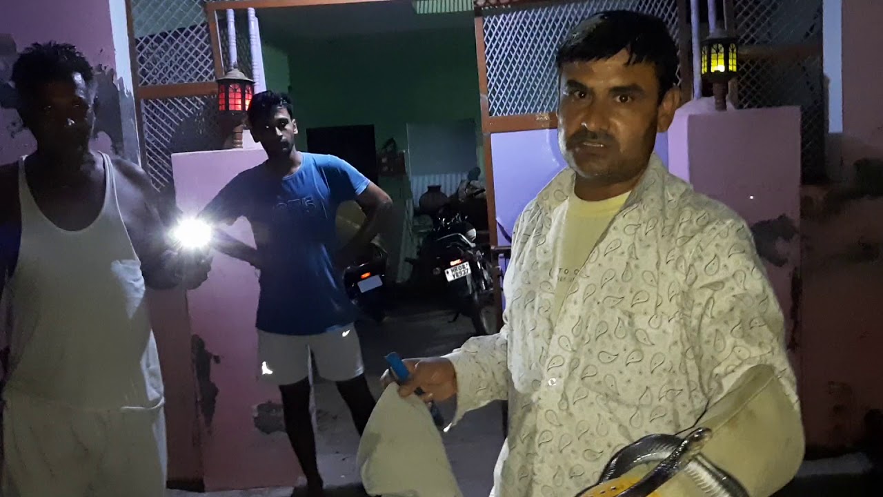 snake rescue team Black cobra saap 9255130130