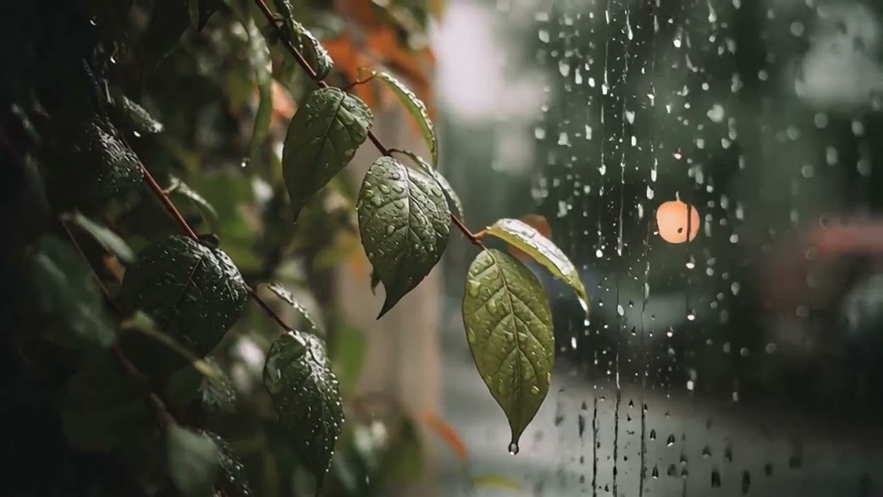 Relaxing Piano Music 🎹 Deep Calm Instrumental for Sleep, Study & Stress Relief