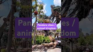 Everything I Ate At Pandora   disney avatarworld disneyworld shorts animalkingdom
