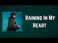 Miniature de la vidéo de la chanson Raining In My Heart