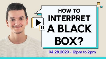 How to interpret a black box ?
