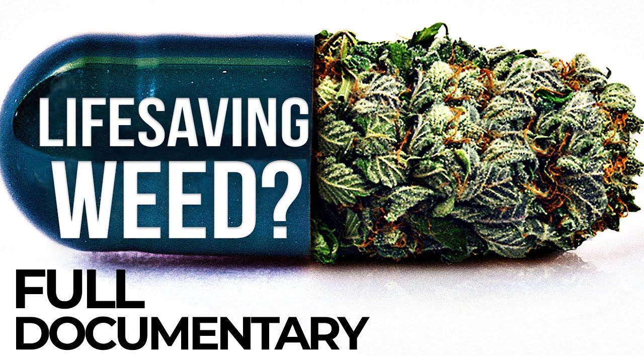 Cannabis to Save My Life: A Woman's Fight for Medical Marijuana