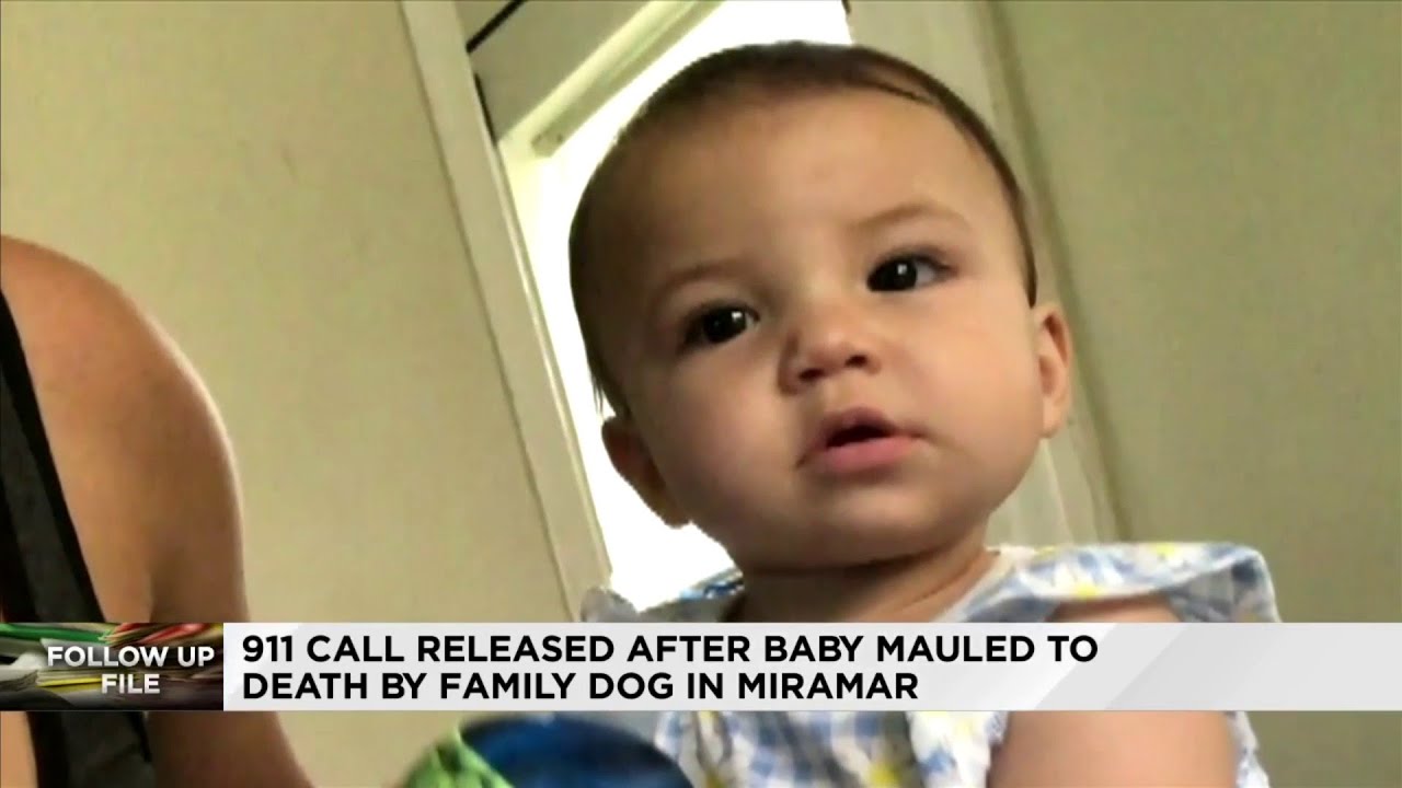 911 call released after baby is killed by family dog - YouTube