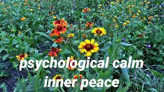 psychological calminner peace الهدوء النفسي والسلام الداخلي
