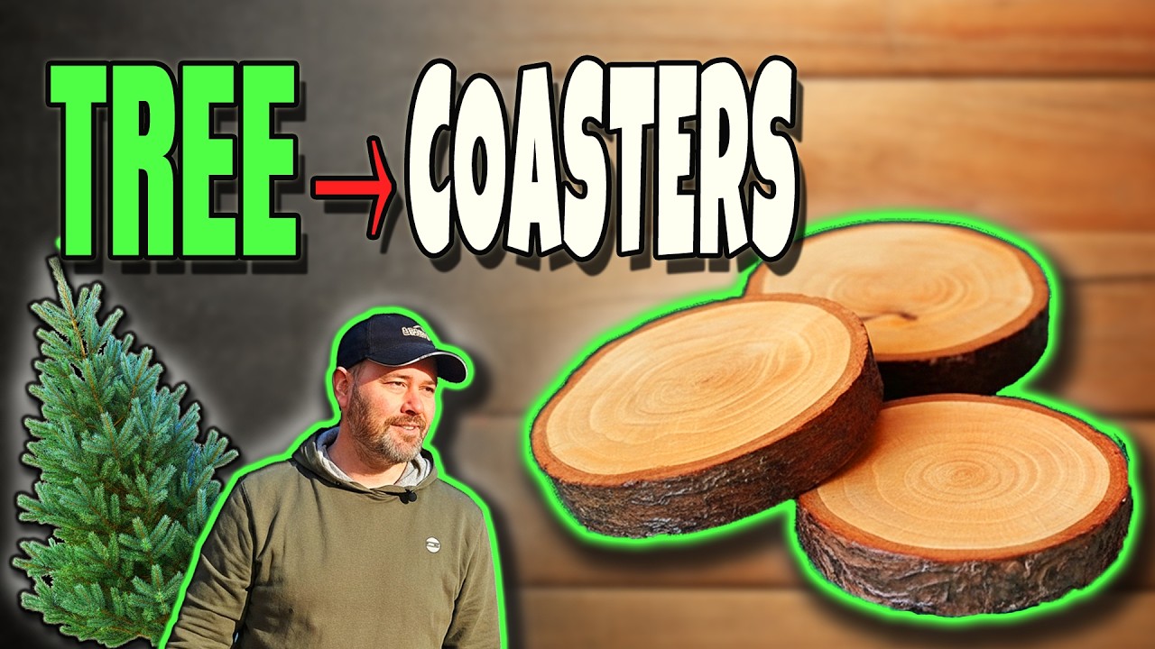 STOP! Don’t Throw Away Your Christmas Tree Yet.