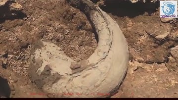 BẮT CÁ MẮC CẠN VÀO MÙA KHÔ KHÔNG NGỜ ĐƯỢC CÁ LÓC CÁ TRÊ KHỦNG