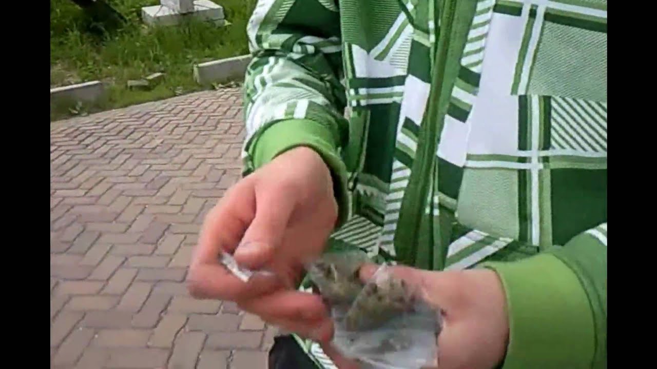 Smoking in The Bulldog Coffeeshop