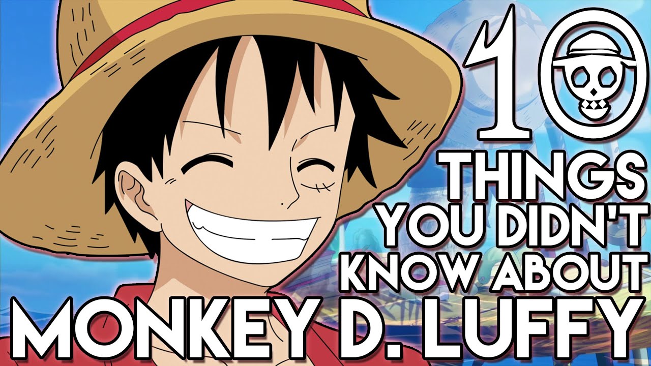 11 Facts About Monkey D. Luffy (One Piece) 