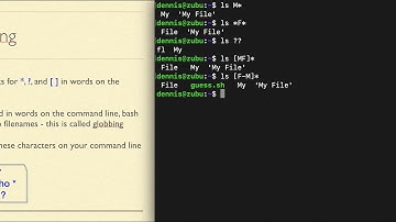 bash2.07 escaping globbing