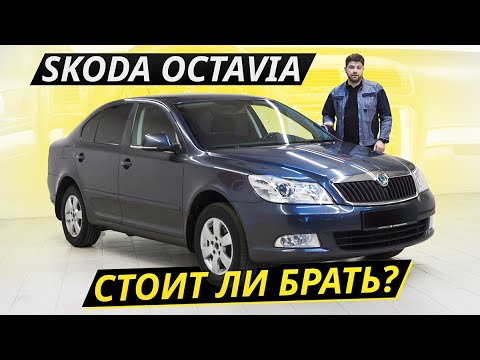 Что осталось от былой надёжности? Skoda Octavia A5 | Подержанные автомобили