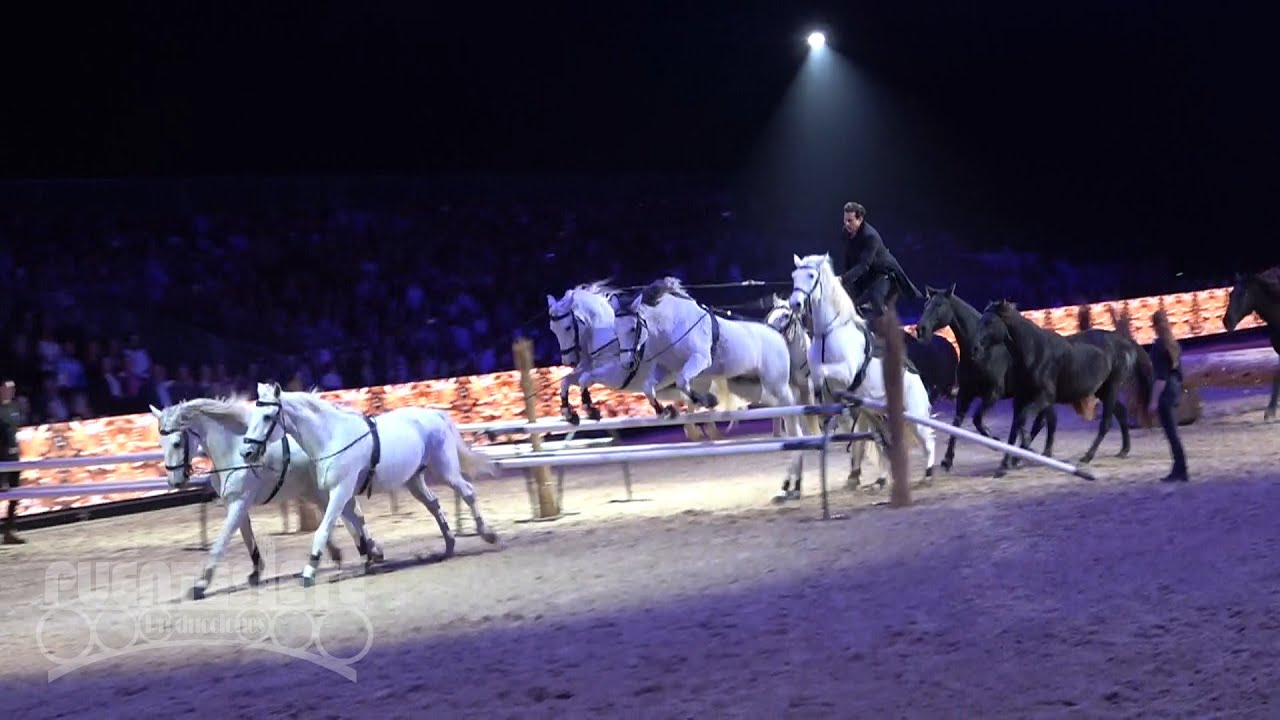 SICAB 2025. Espectáculo. Salón Internacional del Caballo de Pura Raza Española (PRE).