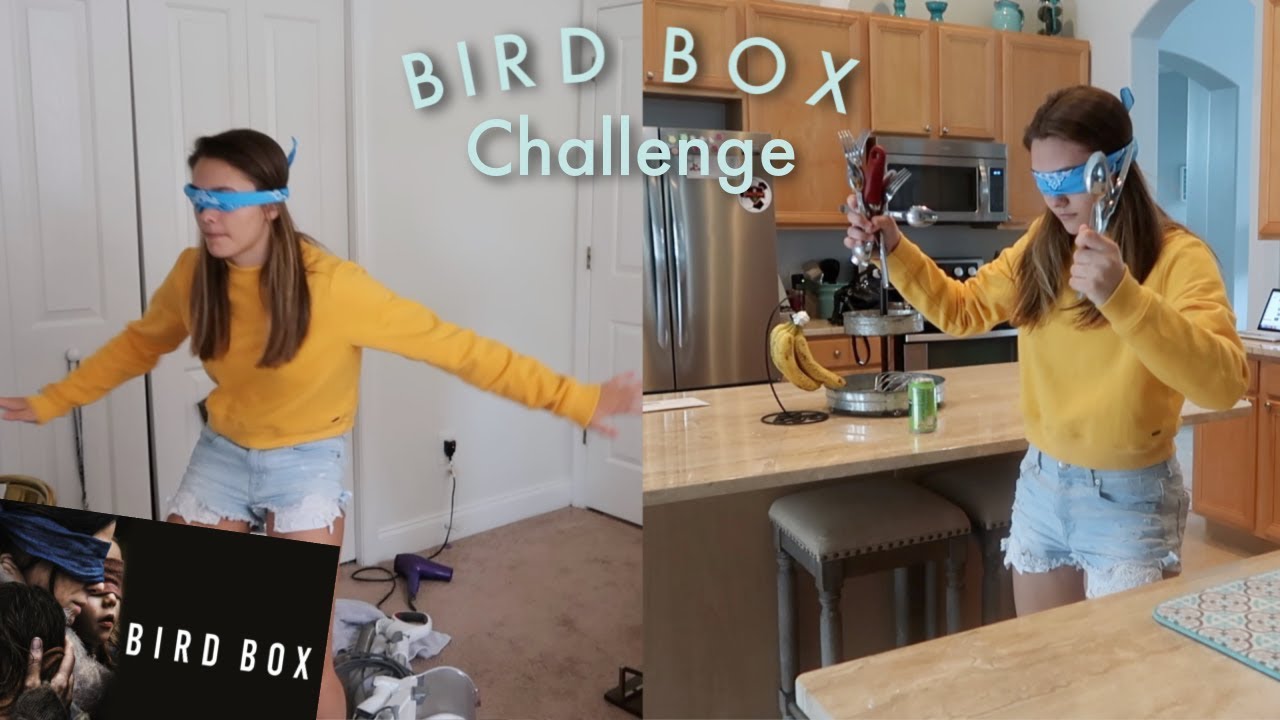 bird box challenge bird box challenge