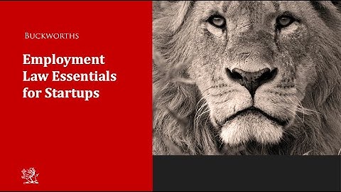 Employment Law Essentials for Startups