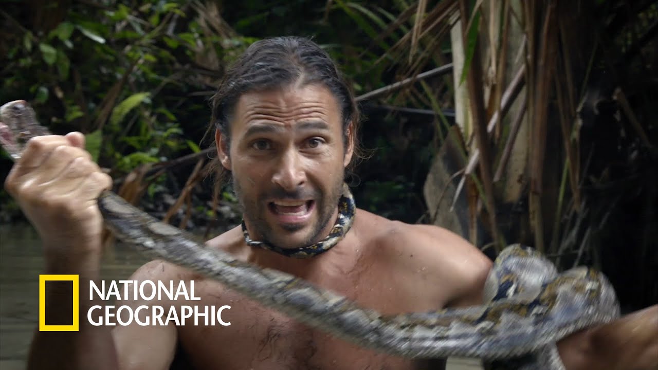 거대 비단뱀과의 조우 | Primal Survivor