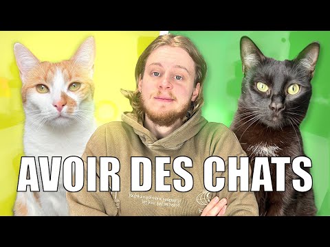 120 - HAVING CATS