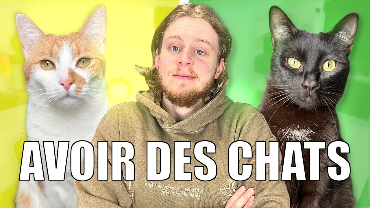 120 - AVOIR DES CHATS