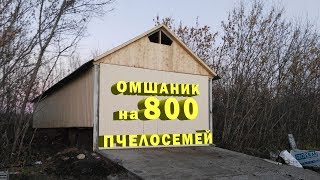 Пасека Буньковых | Постановка в новый омшаник на 800 пчелосемей