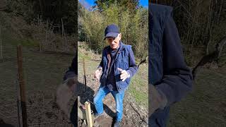 11th March 2024  Start No Digging Garden  Brummie Brian in Japan  Pt 1