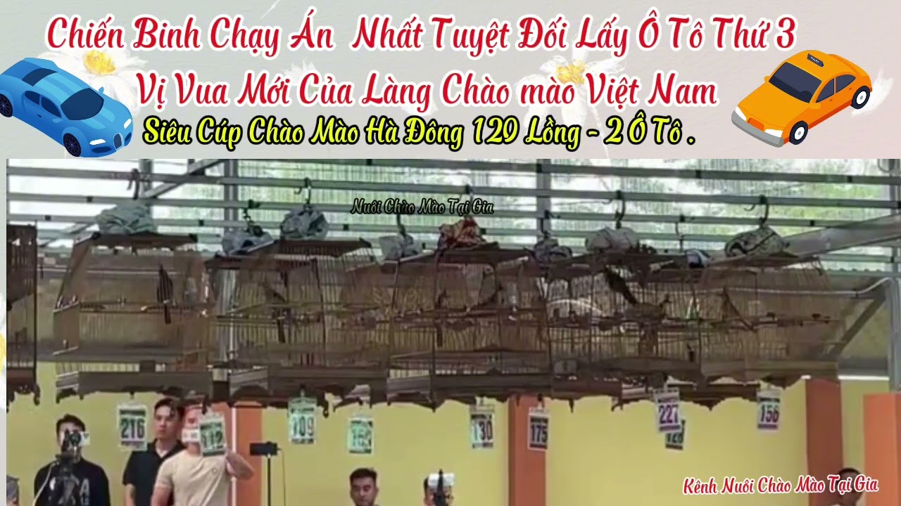 Chung kết siêu cúp chào mào Hà Đông- chào mào chạy án lấy ô tô thứ 3 lên ngôi vua chào mào việt nam