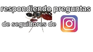 Respondiendo Preguntas De Seguidores De Ig Yari_:D