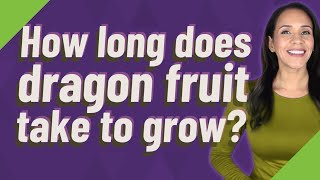 How long does dragon fruit take to grow?