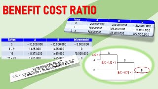 Benefit Cost Ratio