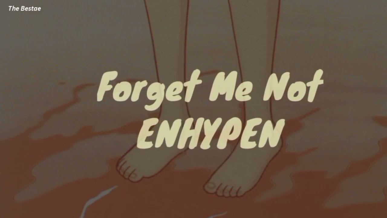 ENHYPEN - Forget Me Not (English Lyrics)