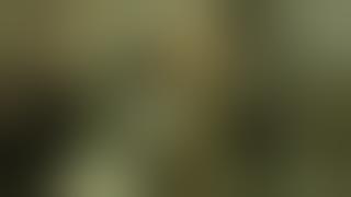 French Foie Gras Cruelty    Animal Equality Undercover Investigation 720p