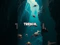 Whats in the oceon? #ocean #mars #monster #scary #animals #marianatrench #5% #small