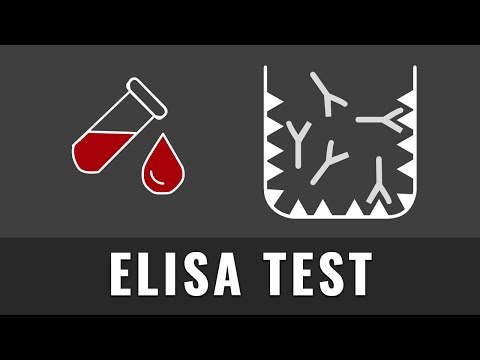 Video: Kann der Elisa-Test falsch positiv sein?