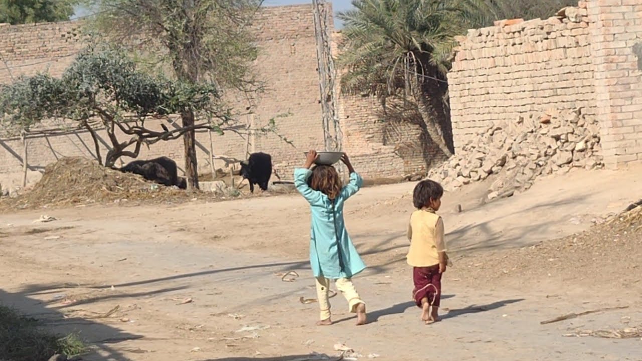 Pakistan Village Life l Pakistani Village Punjab Life Traditions)