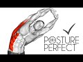 Good Posture in 30 Days (10 Posture Correction Exercises)