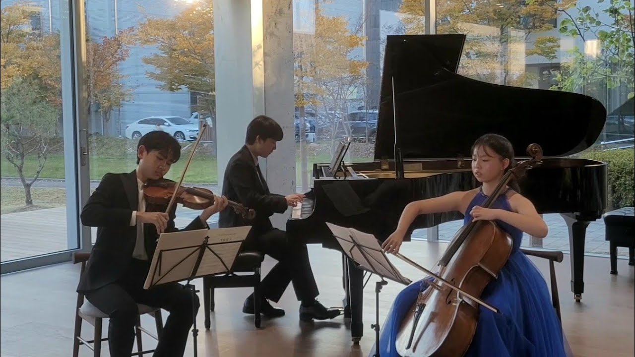 Bramhs Piano Trio No.1, Op.8 by Rabbit Trio (14y)