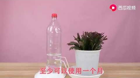 塑料瓶大妙用，改一改，做成超省心的浇花神器，一个月都不用浇水