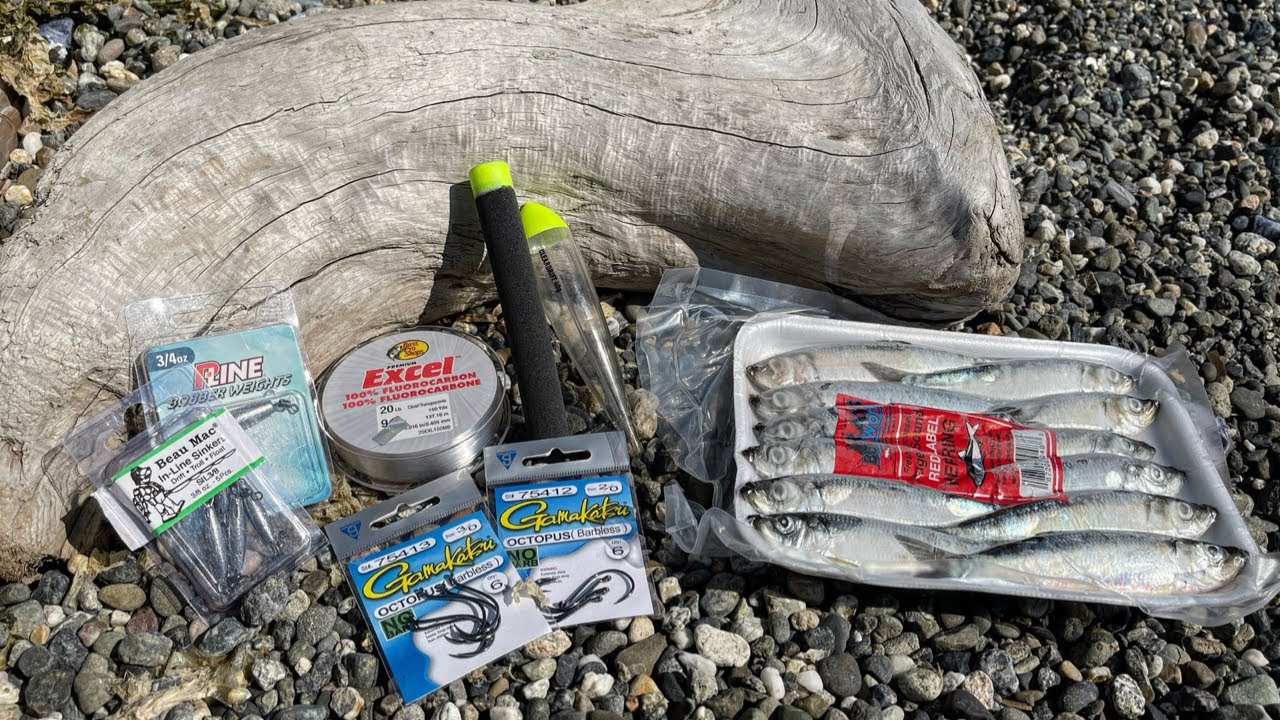 Float Fishing Herring for Coho