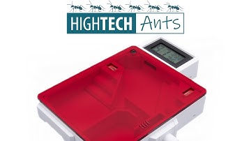 High Tech Ants | Medium Ant Nest