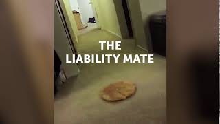 Liability Mate Pizza | Direct Line