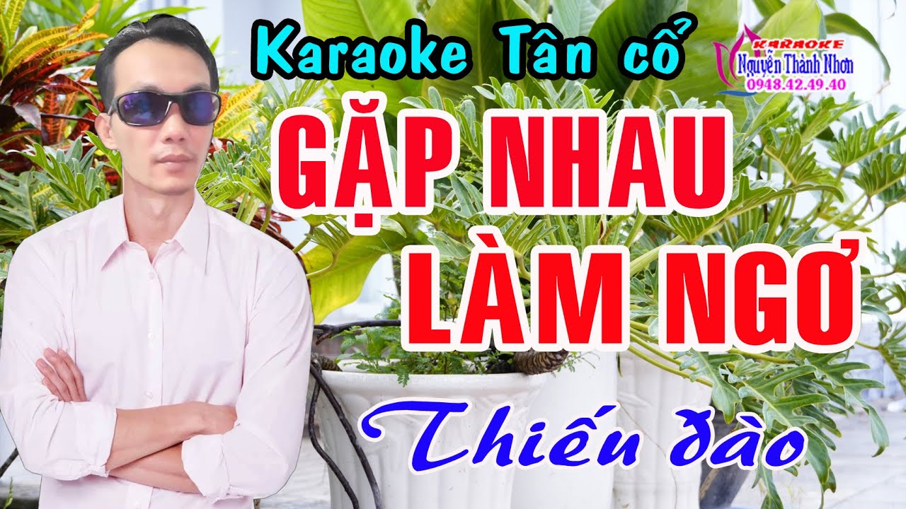 Karaoke tân cổ GẶP NHAU LÀM NGƠ - THIẾU ĐÀO