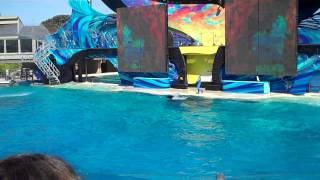 Sea World