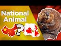 National Animal Quiz #2 | Which country's national animal is this?