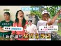 上班時間的「桃園復興區」閒人。7成泰雅族，把水蜜桃引進拉拉山的爺爺，企劃Behuy的故鄉！《哈哈台地區的街訪》EP78【哈哈台】