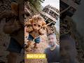monkey 🐒 A Single Rope Saved a Bus Full of Passengers#ai#monkey #shorts