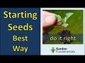 Starting Seeds - The Best Way 🧿️🍻🧿️🍻Compare 5 Seed Starting Methods