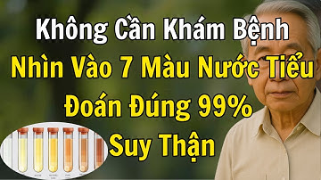 Bác Sĩ Tiết Lộ: Nhìn Màu Nước Tiểu Đoán Đúng 99% Suy Thận, Gan Yếu!