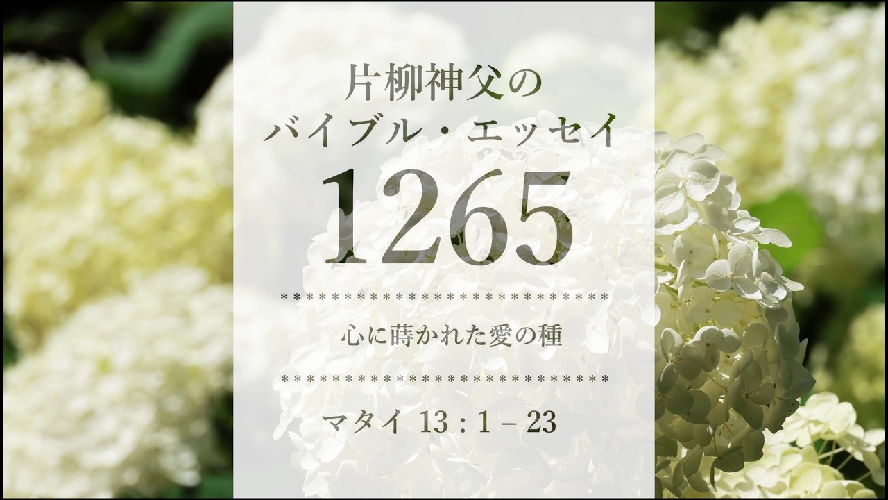 バイブル・エッセイ 1265『心に蒔かれた愛の種』（聖書朗読とミサ説教