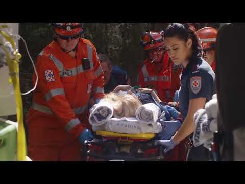VICSES: Make a difference