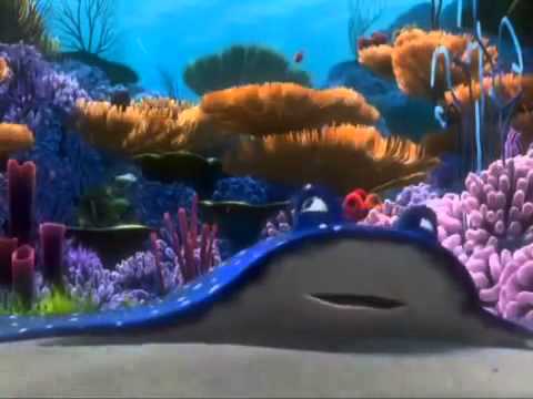 coral finding nemo