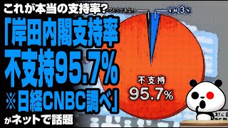 「岸田内閣支持率 不支持95 7※日経CNBC調べ」が話題