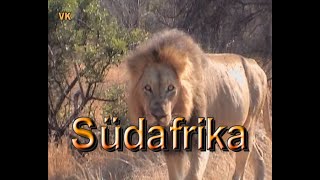 Südafrika Reise Doku mit Sehenswürdigkeiten in Johannesburg, Safari, Kapstadt, Blyde River,