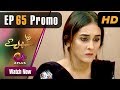 Watch Zara Sambhal Kay - Episode 65 Promo | Aplus | Bilal, Danial, Shehzeen, Michelle | Pakistani Drama Online In HD